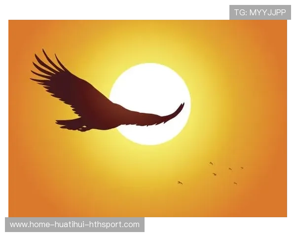 老鹰比赛风格：如何通过快速传导延长进攻链条